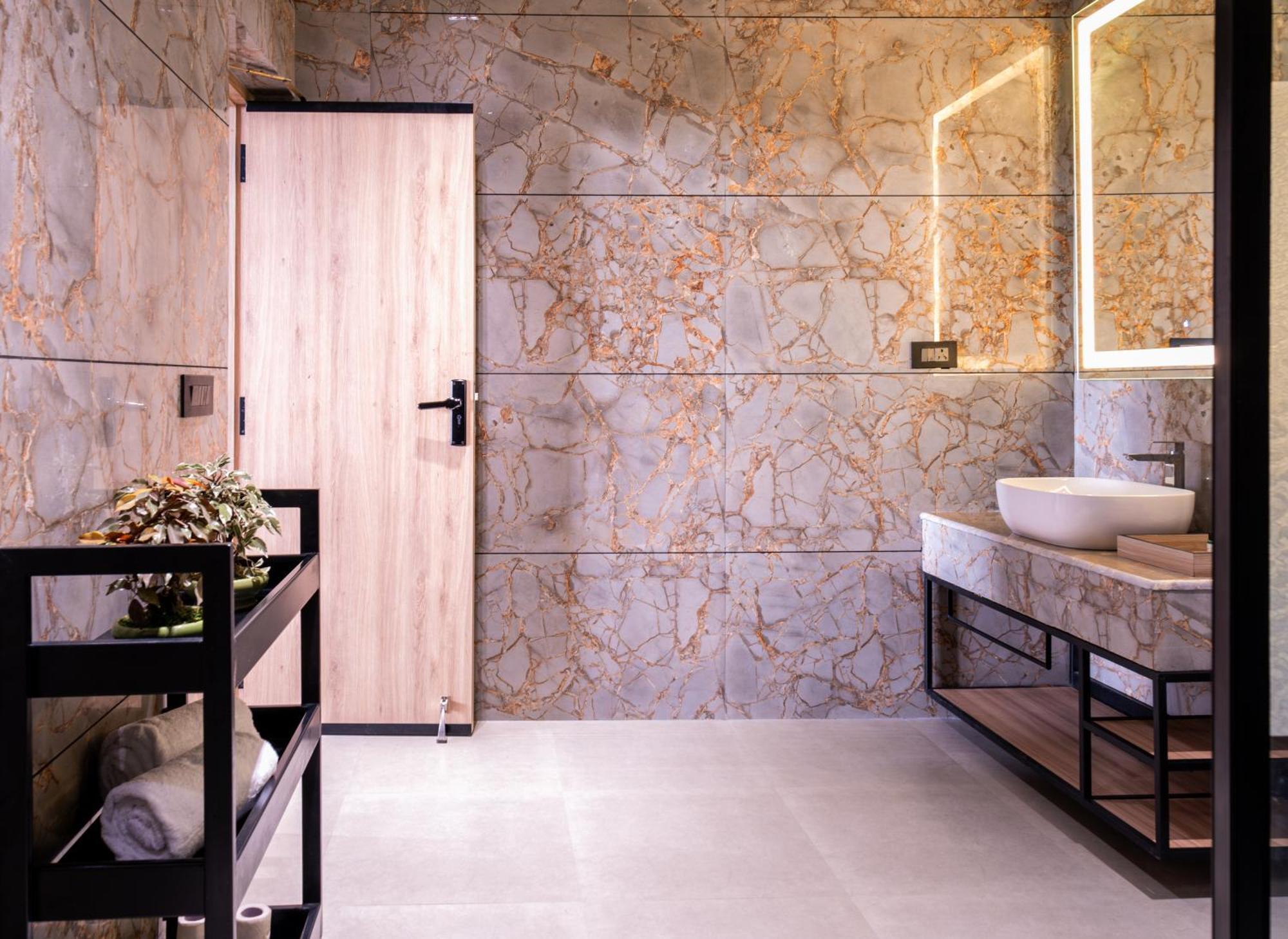 Alpine Hotel And Villas 达兰萨拉 外观 照片